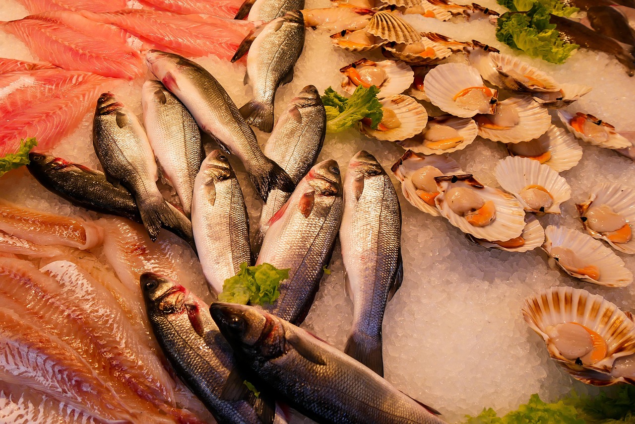 15 frases criativas para vender peixe e atrair mais clientes