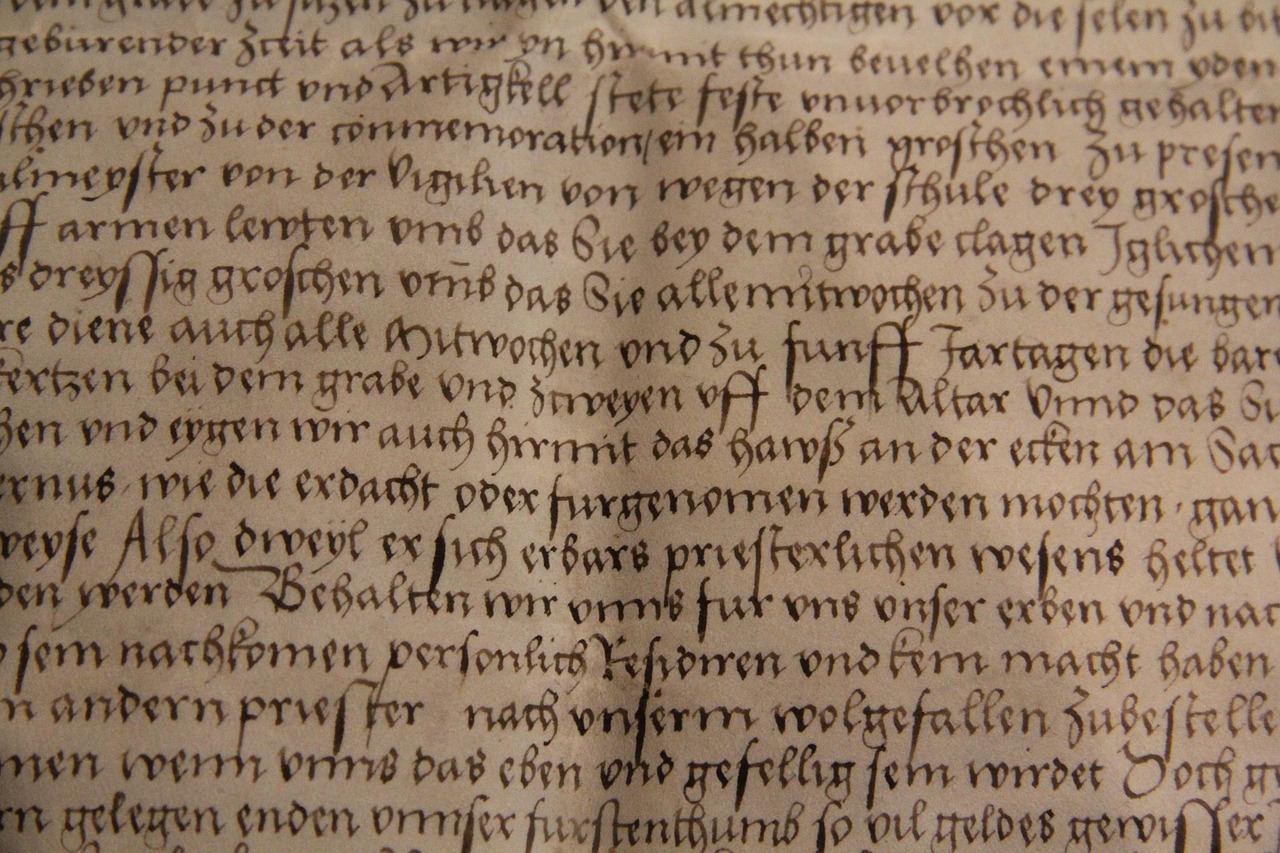 Carta de recomendação: modelos prontos e dicas para redigir