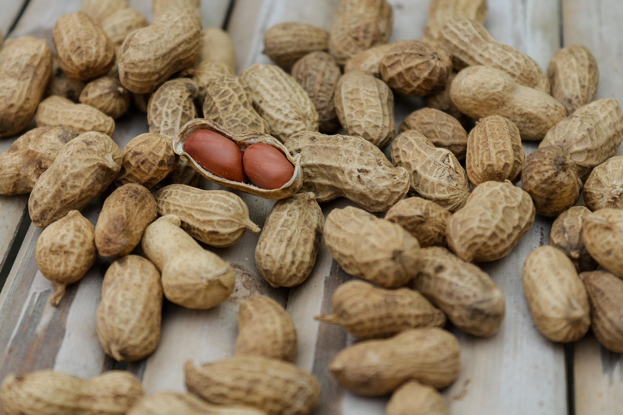 Produtos alimentícios para revenda: 6 fornecedores para comprar barato