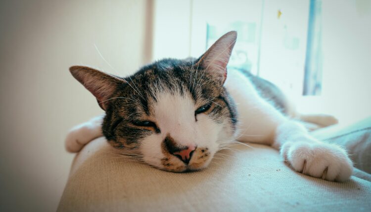 Por Que Sua Estratégia de Marketing Está Falhando (e Como Consertá-la)