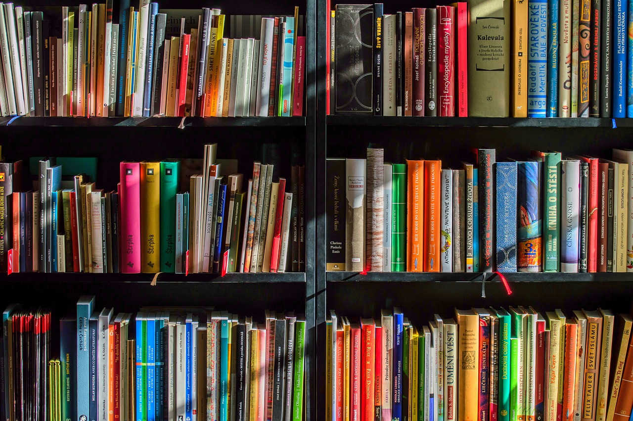 54 nomes criativos para livraria que encantam leitores logo na fachada