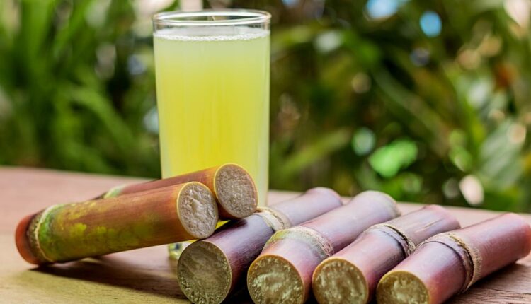 Como fazer rapadura de cana: receita tradicional e dicas para vender