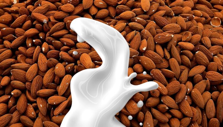 Leite de soja no Brasil: As 5 marcas mais populares entre os consumidores