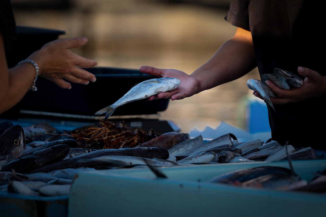 15 frases criativas para vender peixe e atrair mais clientes