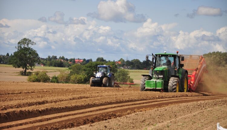 18 produtos essenciais para loja agropecuária que mais vendem