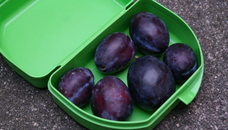 Como vender marmitex pelo WhatsApp: Dicas práticas para começar hoje