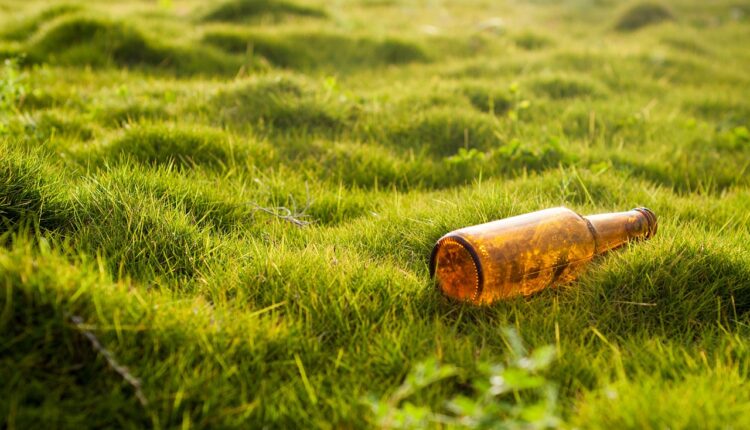 Franquia Ecoville: conheça os custos e se vale a pena investir