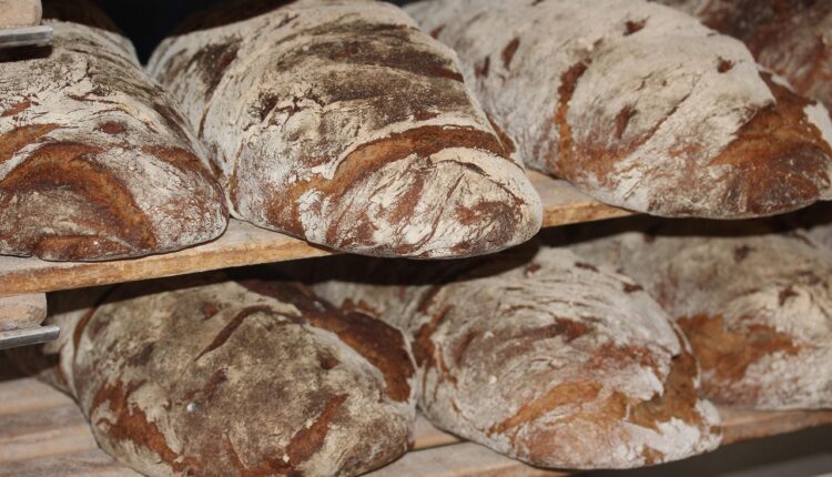 Franquia Premiapão: Veja como funciona e se vale a pena investir