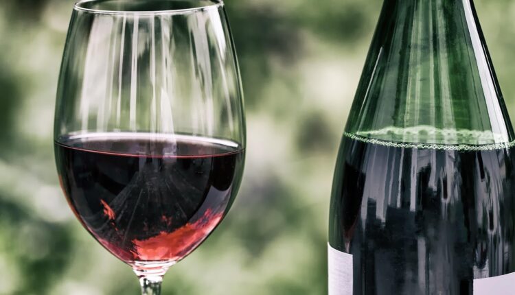 Nomes criativos para adegas: 30 sugestões para atrair os apaixonados por vinho