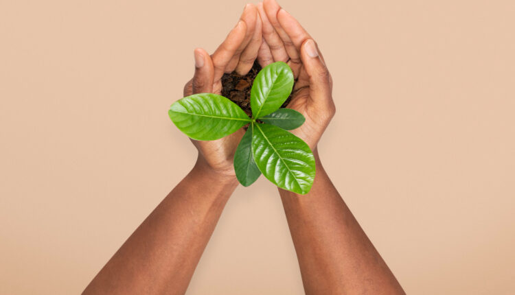 Sustentabilidade no dia a dia pequenas atitudes que fazem grande diferença