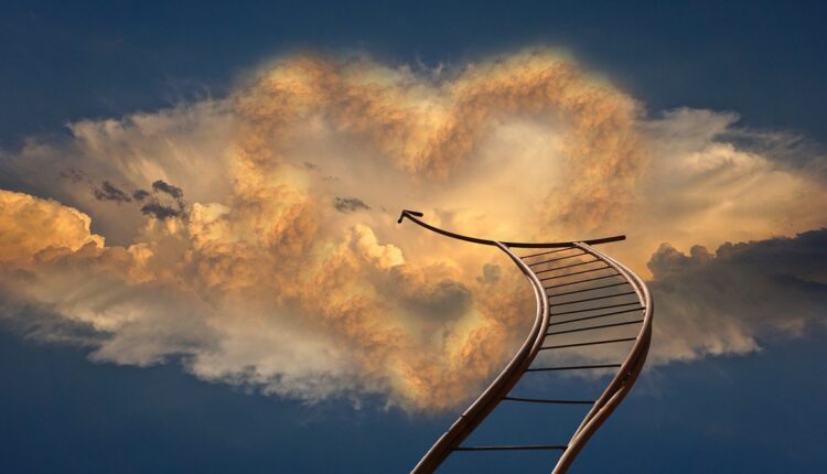 Júnior, pleno e sênior: entenda os níveis de experiência profissional