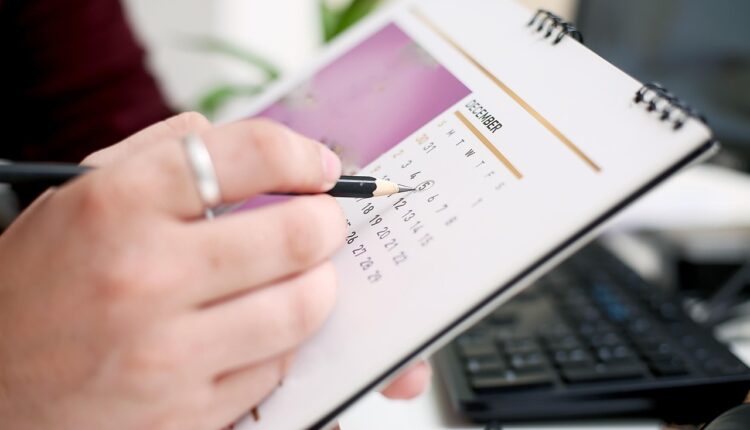 Datas comemorativas novembro 2024: planeje suas ações de marketing