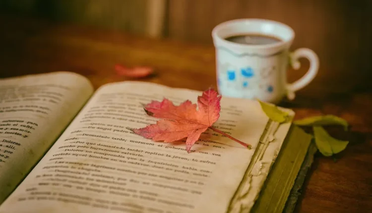 Masterpiece Literárias que Aguçam Sua Mente e Expandem Horizontes