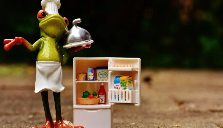Como escolher uma geladeira para apartamento